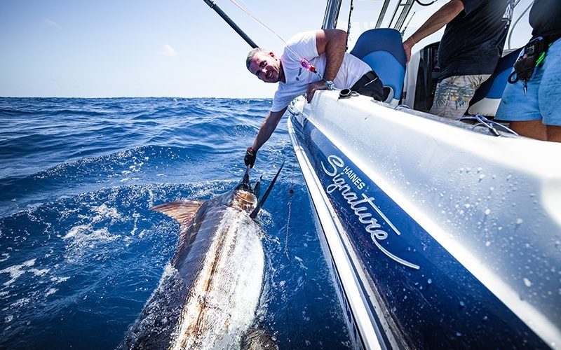 680F Blue Marlin Game Fishing